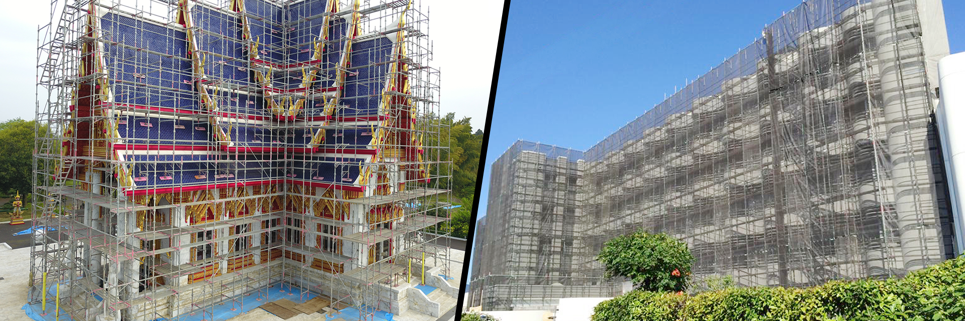 サン・ステップイメージ01