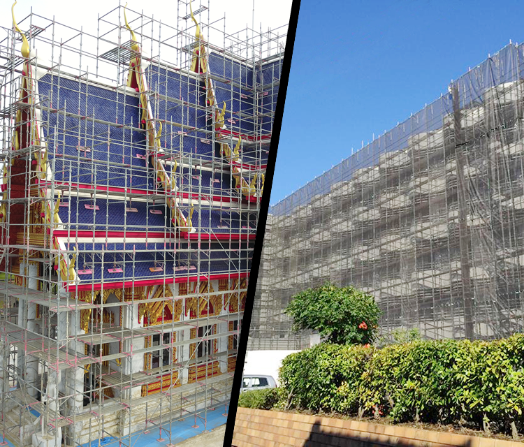 サン・ステップイメージ01